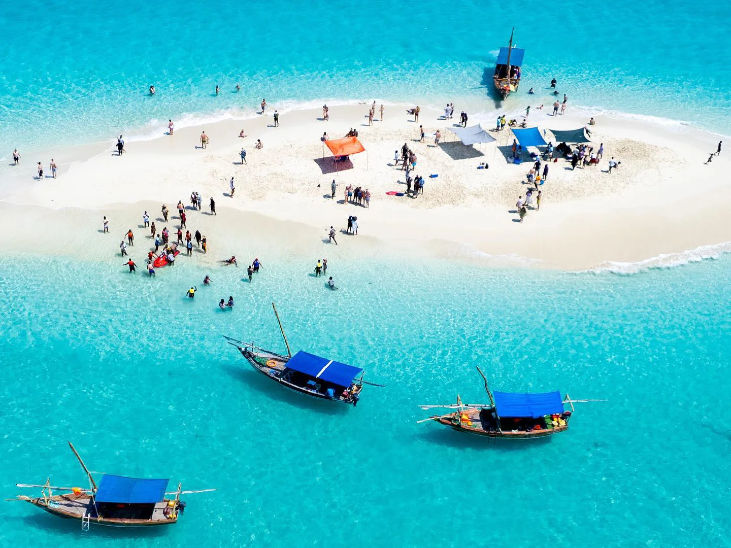 Safari Blue Day Trip